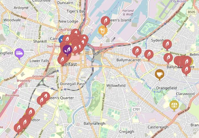 vegan friendly places in Northern Ireland